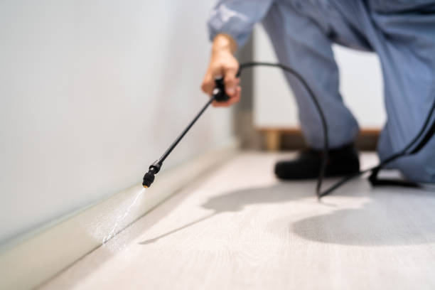 Certified termite inspector examining foundation in Kings Bay Base